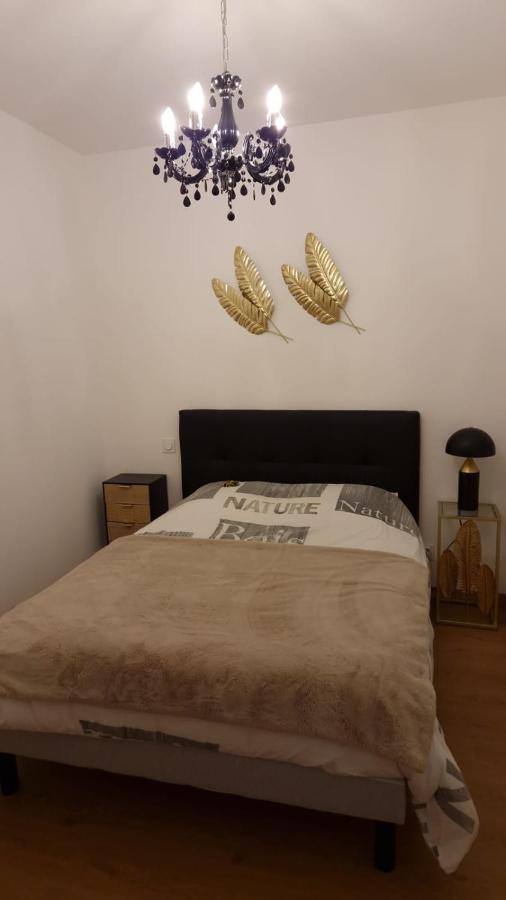 Appartement Cosy Centre Ville Roanne Exterior photo